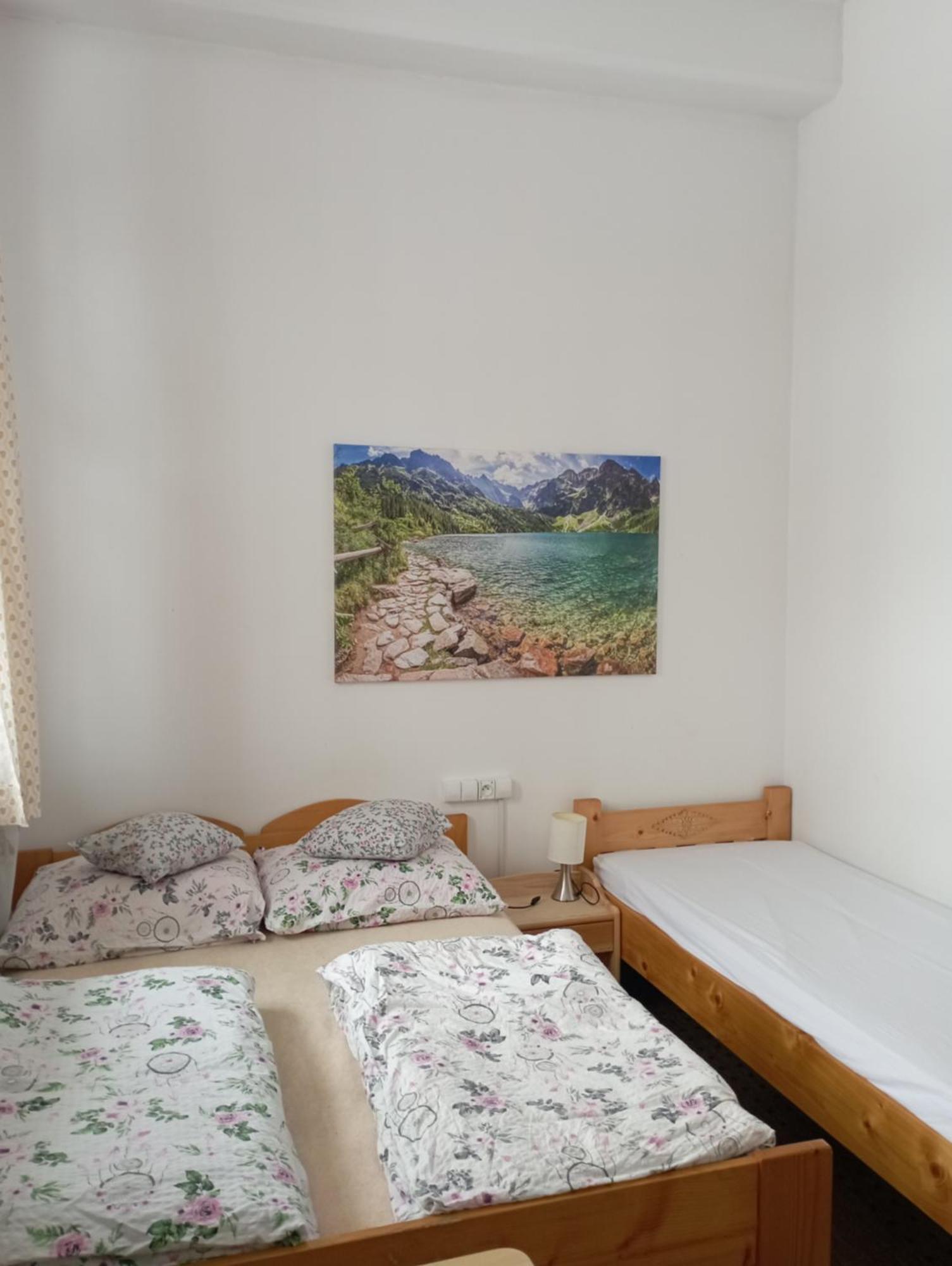 A3Apartament 2 Pokojowy Aneks Kuchenny 2 Lazienki Wlasne Na Korytarzu Villa Jumper Pobyt Na Termach Dla 2 Osob Gratis Закопане Стая снимка